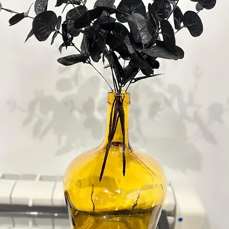 Santalucia * Zaragoza