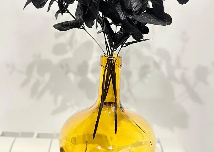 Santalucia * Zaragoza